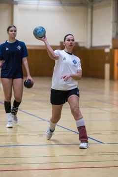 Bild 100 - F TSV Ellerau - HSG Tills Loewen 08 : Ergebnis: 16:18